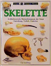 Skelette gebraucht kaufen  Berlin