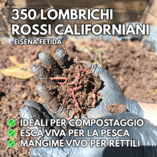 Lombrichi rossi californiani usato  Stefanaconi