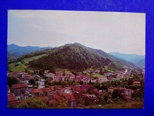Cartolina palazzuolo sul usato  Italia