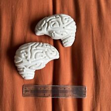 Brain halloween prop for sale  BIRMINGHAM