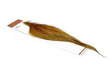Whiting farms rooster d'occasion  Romans-sur-Isère