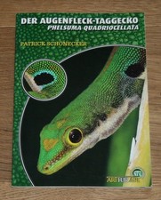 Augenfleck taggecko phelsuma gebraucht kaufen  Wildsteig
