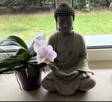 Steinfigur großer buddha gebraucht kaufen  Künzell