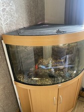 juwel 240 fish tank for sale  PRENTON