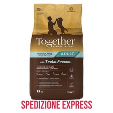 Together dog adult usato  Torano Castello