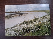 wick scotland for sale  NORTHAMPTON