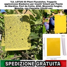 50pz trappole appiccicose usato  Rovigo