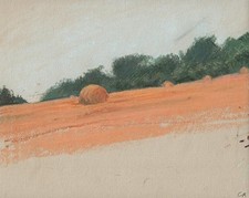 Round hay bales for sale  SALISBURY