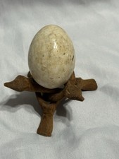 Pier polished egg for sale  Fairfield