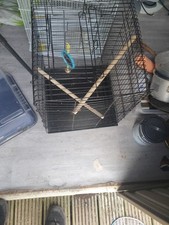 Budgie cage metal for sale  NEWCASTLE UPON TYNE