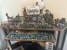 Enormous seraphon age for sale  Falling Waters