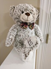 Schwartz grey teddy for sale  Florence