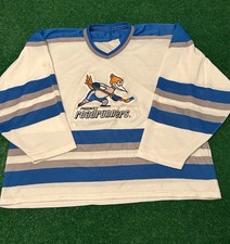 Vintage 90s phoenix for sale  Flagler Beach