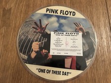 Vinile pink floyd usato  Cormano
