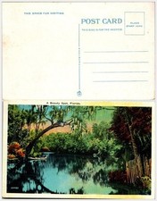 Florida tropical river for sale  Southampton
