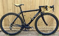 Rosa cinquanta 50th for sale  Boise