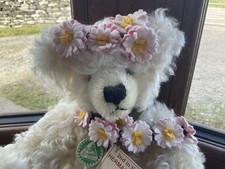 Hermann bear daisy for sale  ORKNEY