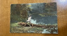 Vintage alligator postcard for sale  Seguin