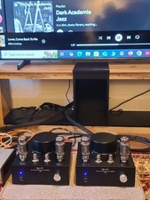 Kt120 monoblocks for sale  DARLINGTON