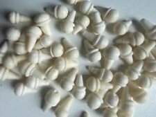 Dilruba string pegs for sale  TIPTON