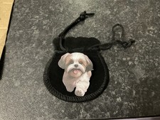 Cute dog lhasa for sale  ALDERSHOT