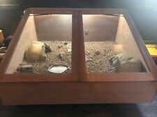 Large bespoke vivarium for sale  STOCKPORT