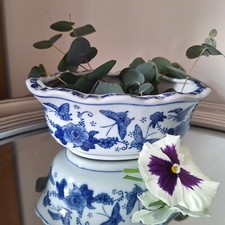 Blue white oriental for sale  BEVERLEY