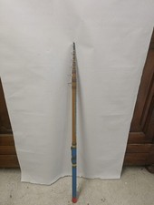 Canna bolognese lerc usato  Canelli