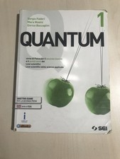 Libro scolastico quantum usato  Monte San Giovanni Campano