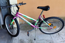 Bicicletta mtb regina usato  Spilamberto