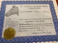 Aqha history permanent for sale  Columbus