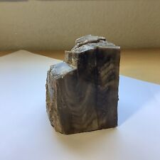 Vintage petrified wood for sale  Santa Rosa