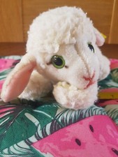 Steiff lamb 5725 for sale  TAUNTON