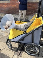 pet stroller for sale pet stroller for sale UPMINSTER