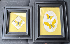 Vintage mcm framed for sale  Easley
