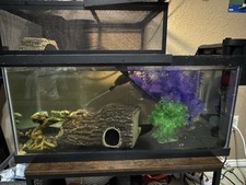 40 gallon fish tank colorado for sale 40 gallon fish tank colorado for sale Harlingen