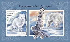 Guinea 2018 arctic for sale  Wilmington