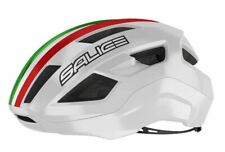 Salice casco vento usato  Cassina de' Pecchi