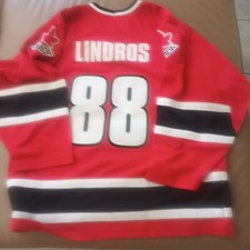 Nike eishockey trikot gebraucht kaufen  Leutenbach