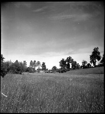 Rural landscape fields d'occasion  Expédié en Belgium