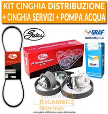Kit cinghia distribuzione usato Kit cinghia distribuzione usato  Italia