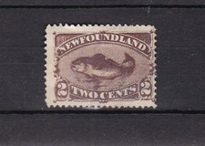 Newfoundland brown cod for sale  MAIDSTONE