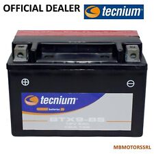 Batteria tecnium btx9 usato  Cardito