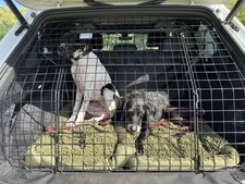 Barjo dog guard for sale  VERWOOD