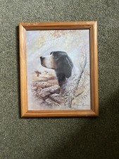 Vintage english springer for sale  EGHAM