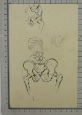 Disegno antico anatomia usato  Torino