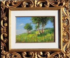 Alfredo beisone alberi usato  Barge