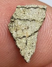 Hadrosaur egg shell for sale  SOLIHULL