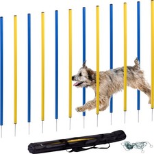 Agility slalom set gebraucht kaufen  Gronau