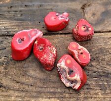 Chunky real coral for sale  LONDON